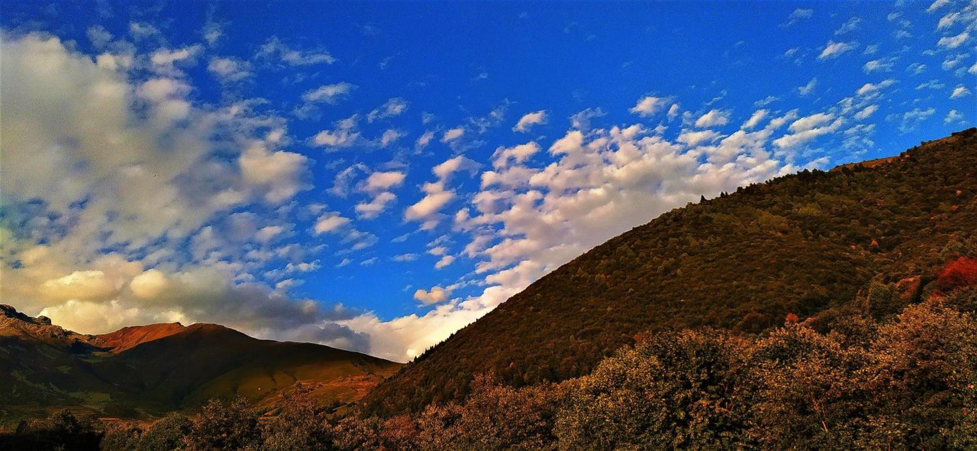Gujejiani Guest House Mestia Dış mekan fotoğraf