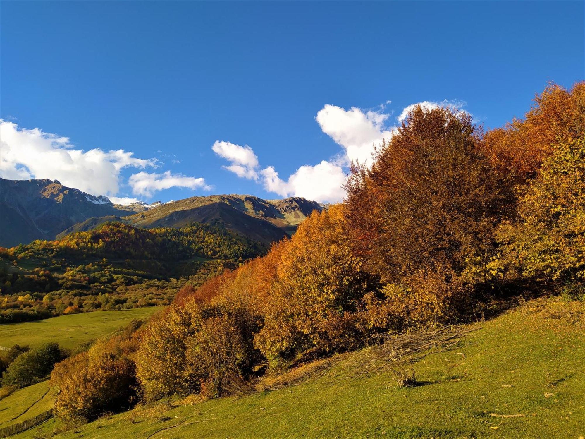 Gujejiani Guest House Mestia Dış mekan fotoğraf