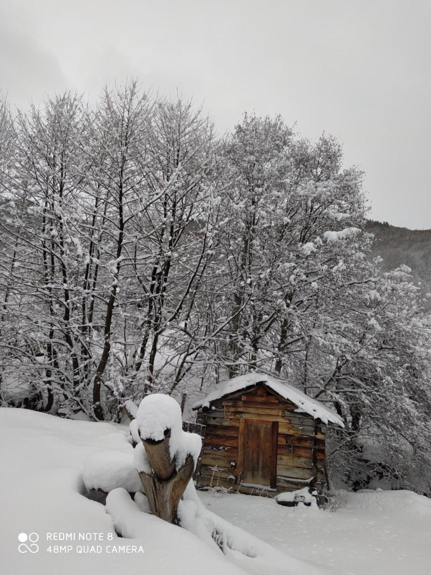 Gujejiani Guest House Mestia Dış mekan fotoğraf